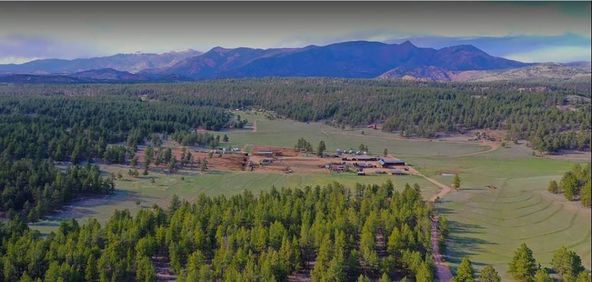M Lazy C Ranch : 801 County Road 453, Lake George, CO 80827